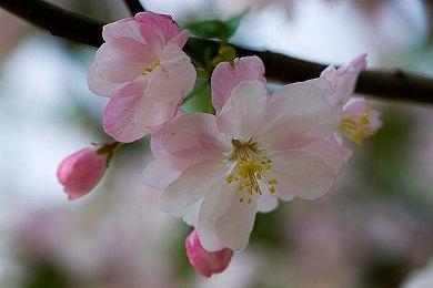 三上真司宣传《幽灵线：东京》 这不是一个恐怖游戏